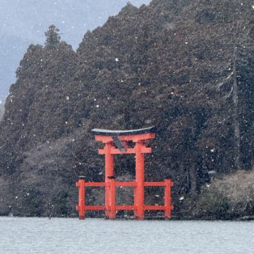 东京+箱根+富士山7日6晚拼小团