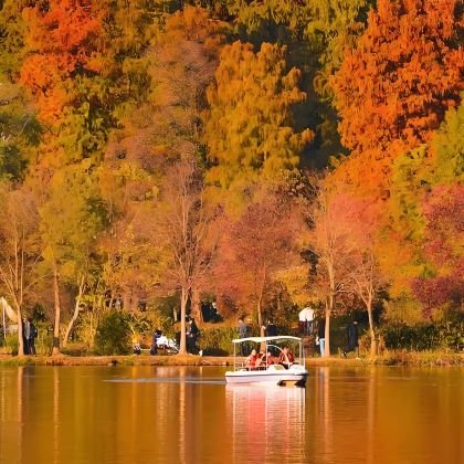 日本大阪+神户+宫津市+京都+有马温泉乡+天桥立+琵琶湖7日6晚拼小团