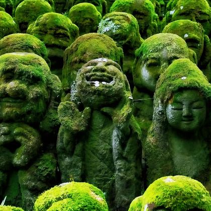 大阪+京都+名古屋+金泽+白川乡+岚山嵯峨野观光小火车+下吕温泉+高山阵屋11日10晚私家团