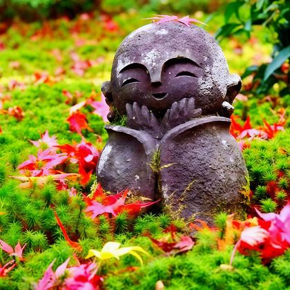 大阪+京都+名古屋+金泽+白川乡+岚山嵯峨野观光小火车+下吕温泉+高山阵屋11日10晚拼小团