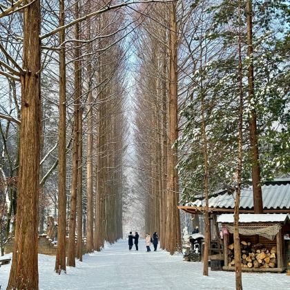 韩国5日4晚私家团