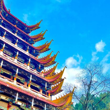 遂宁+广德寺+圣莲岛景区+观音故里-灵泉寺+四川宋瓷博物馆2日1晚私家团