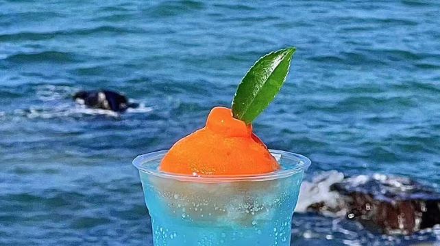 济州岛5日4晚跟团游·精品纯玩无购物小团+免签+赠流量卡+转换插座+24H接送机+15人封顶+酒店四钻四晚连住+牛岛+城山日出峰+月汀里+汉拿山1100+柱状节理带+山茶花+小羊肖恩农场