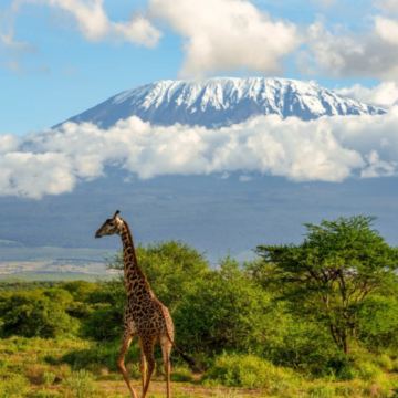 肯尼亚+乌干达+南非11日10晚私家团