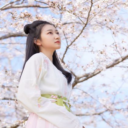 武汉+长江三峡+三峡大坝4日3晚私家团