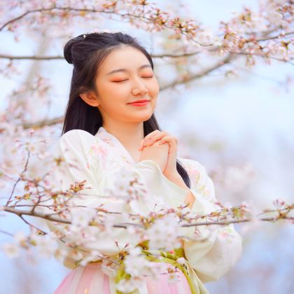 武汉+黄鹤楼+宜昌+三峡大坝+三峡人家5日4晚私家团