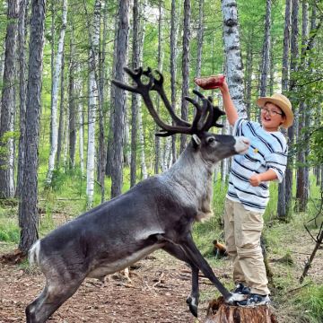 哈尔滨+漠河+北极村+北红村+龙江第一湾风景区5日4晚拼小团