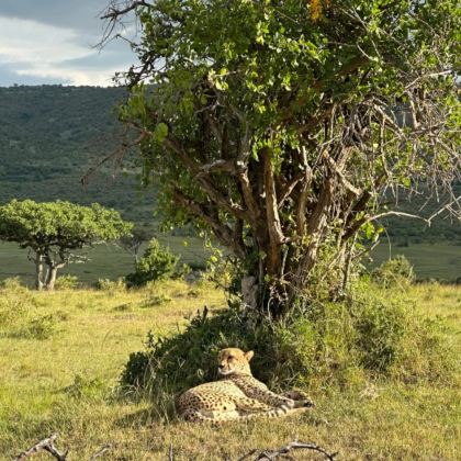 毛里求斯+留尼汪（法属）11日10晚私家团
