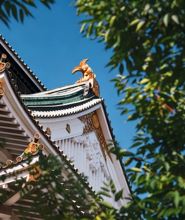 6天5晚 • 日本大阪