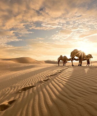 7D6N • Hohhot + Xilamuren Grasslands + Seven Star Lake Desert Ecological Tourism Area