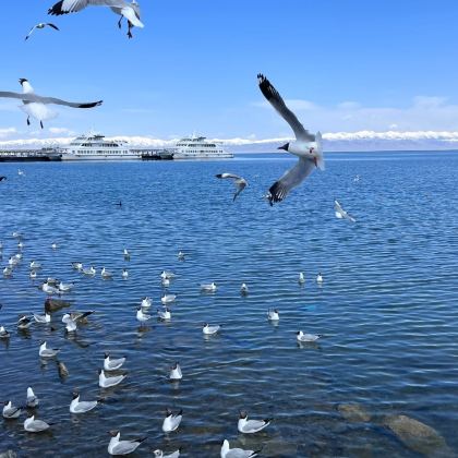 青海6日5晚私家团