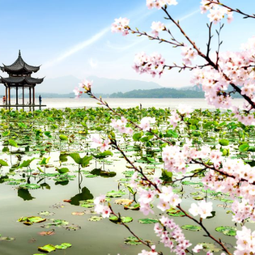 杭州宋城+灵隐飞来峰景区+西湖风景名胜区2日1晚私家团