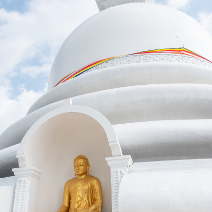 斯里兰卡+马尔代夫8日6晚跟团游