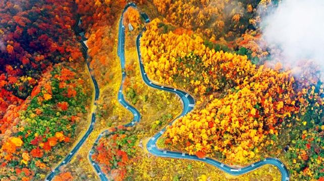 九寨沟、成都+4