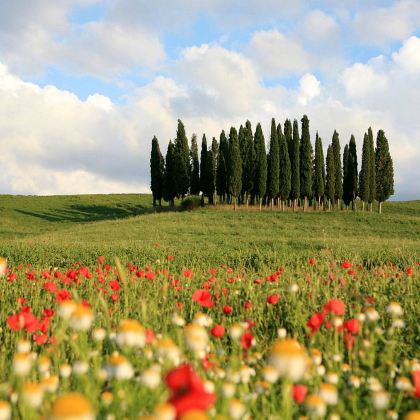 意大利罗马+佛罗伦萨+锡耶纳5日4晚私家团