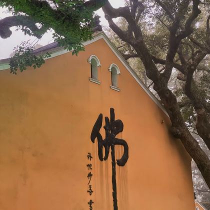 舟山+朱家尖风景区+普陀山风景区3日2晚私家团