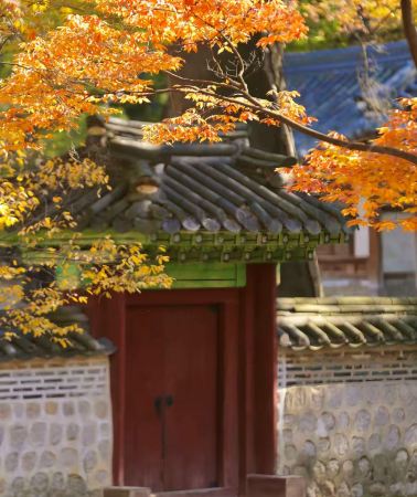 3天2晚 • 首爾跟團遊｜打卡景福宮＆北村韓屋村＆仁寺洞＆聖水洞＆南山公園｜24H接送機＆市區飯店上門接＆機酒自選｜高端純玩團·0購物0自費