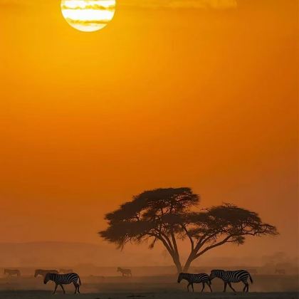 肯尼亚+坦桑尼亚15日14晚私家团