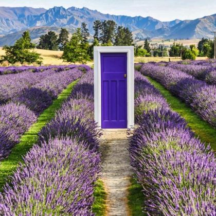 新西兰南岛+北岛12日11晚跟团游