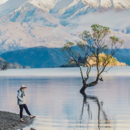 新西兰北岛+南岛11日10晚私家团