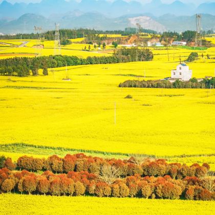 昆明+罗平+普者黑风景区+广南+元阳+建水+抚仙湖+元谋+东川红土地10日9晚跟团游