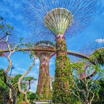 新加坡+新加坡环球影城+新加坡国立大学10日9晚私家团