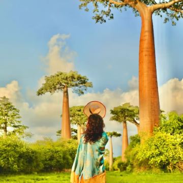 马达加斯加8日7晚私家团