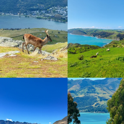 新西兰北岛+南岛12日9晚私家团