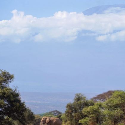 坦桑尼亚+乌干达12日11晚私家团