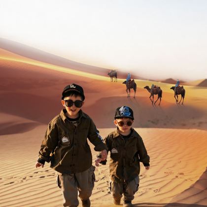 宁夏中卫+银川+沙坡头+镇北堡西部影城4日3晚私家团