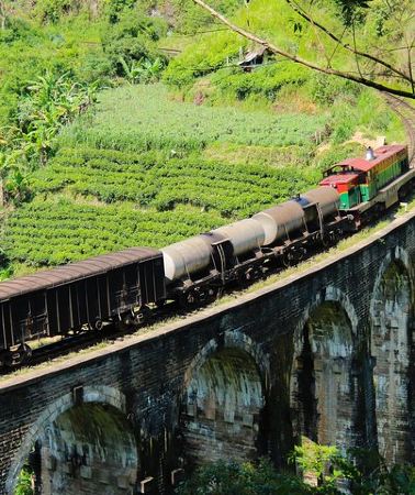 12D11N • Sri Lanka tours 12-Day wildlife Tour with driver,Car or Van and accommodations