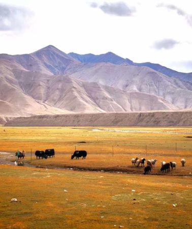 11D10N • Xinjiang + Urumqi + Southern Xinjiang + Kashgar City + Taklamakan Desert + Pamir Tourist Area + Ancient City of Kashgar