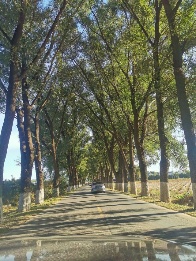 百里山水画廊旅行图片 1