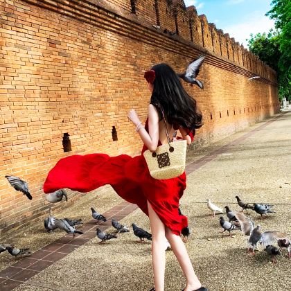 泰国清迈5日4晚自由行