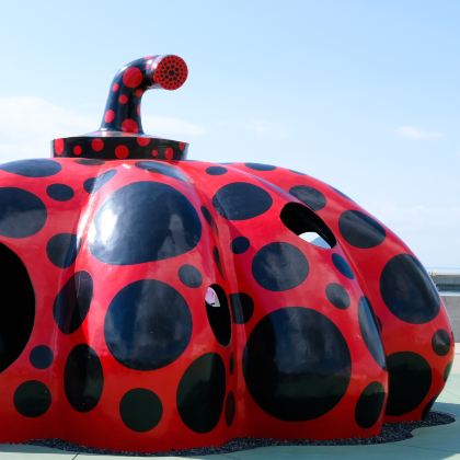 日本四国+高松+高知市+松山+道后温泉9日8晚私家团