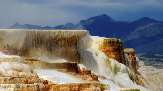5-Day Yellowstone Tour from Salt Lake City·Great Salt Lake, The Grand Prismatic Hot Spring, Old Faithful Geyser | Max 14 Pax