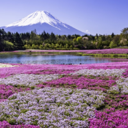 日本东京+箱根6日5晚私家团
