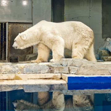 大连5日4晚自由行