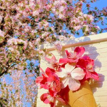 天津+杨柳青古镇+泰达航母主题公园+塘沽外滩公园+天津鼓楼+五大道4日3晚私家团