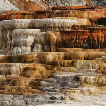 美国盐湖城+丹佛+黄石国家公园+大蒂顿国家公园5日4晚跟团游