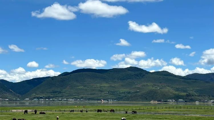 8D7N · Private Tours · Kunming + Dali City + Lijiang + Shangri-La: Yulong Snow Mountain, Erhai Lake, Dukezong Ancient Town