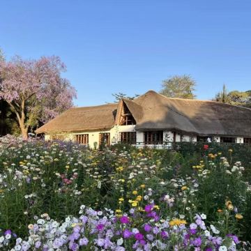 肯尼亚+坦桑尼亚12日11晚私家团