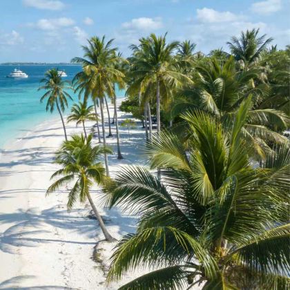 新加坡+民丹岛5日4晚私家团