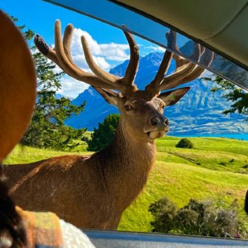 新西兰南岛+北岛11日10晚拼小团