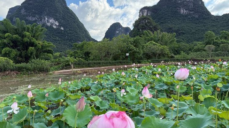 3D2N · Private Tours · 3-Day Private Guilin Tour with Li River Cruise and Yangshuo