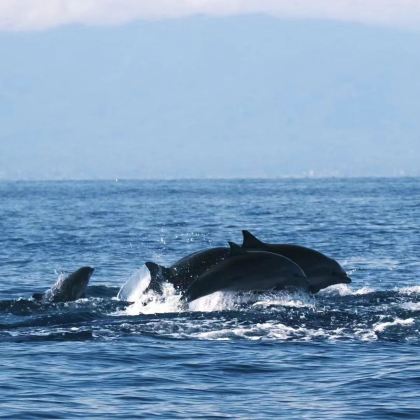 巴厘岛4日3晚私家团