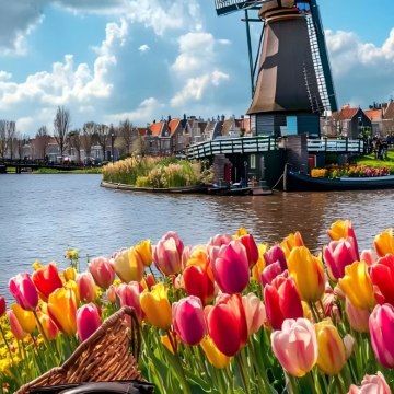 荷兰9日8晚私家团