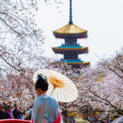 武汉+黄鹤楼+长江三峡+三峡大坝+三峡人家3日2晚跟团游