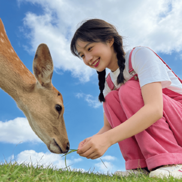 东江湖旅游区+高椅岭旅游区+莽山五指峰景区+仰天湖大草原3日2晚拼小团