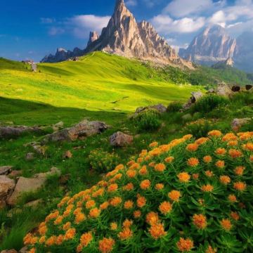 慕尼黑+新天鹅堡+日内瓦+多洛米蒂山脉+萨尔茨堡+科莫湖+高地陶恩国家公园14日13晚拼小团